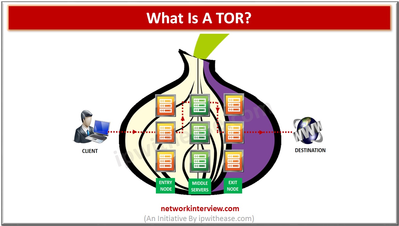 visualize the tor network