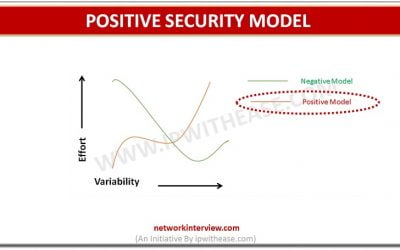POSITIVE SECURITY MODEL