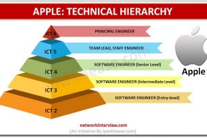 apple technical hierarchy