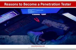 Reasons to Become a Penetration Tester