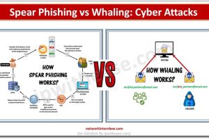 spear phishing vs whaling : cyber attacks