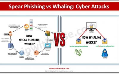 spear phishing vs whaling : cyber attacks