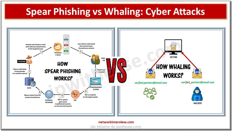 spear phishing vs whaling : cyber attacks