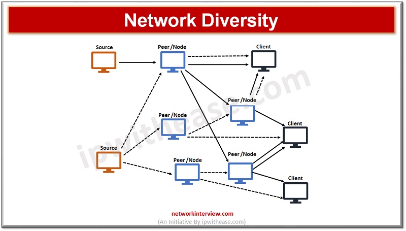 network diversity