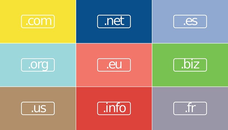 What Is Domain Monitoring & Why You Need It? » Network Interview