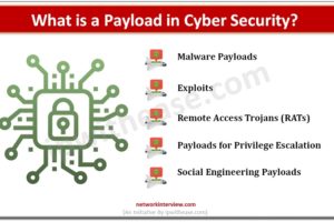 What is a Payload in Cyber Security
