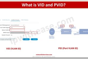 What is VID and PVID