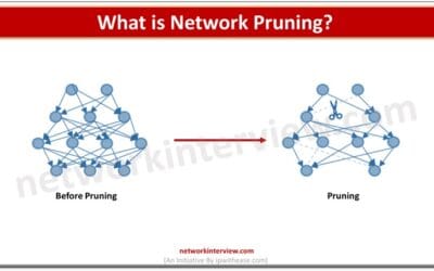 What is Network Pruning