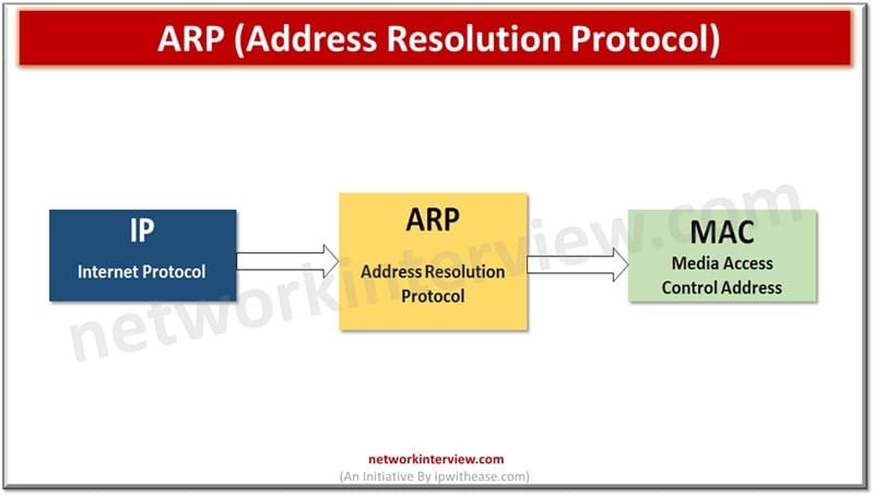 ARP (Address Resolution Protocol)