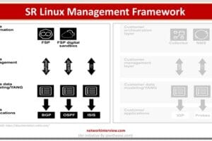 Nokia SR Linux Management Framework